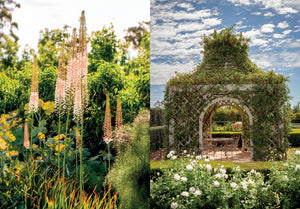 Paul Bangay a life in garden design