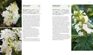 Paul Bangay's guide to plants
