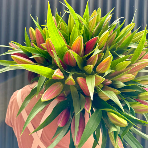 Oriental Lilies