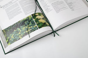 Plantology; guide to better gardens