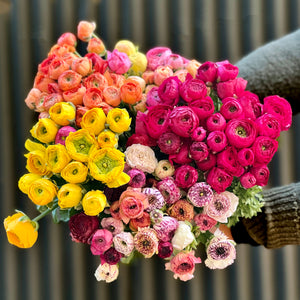 Ranunculus