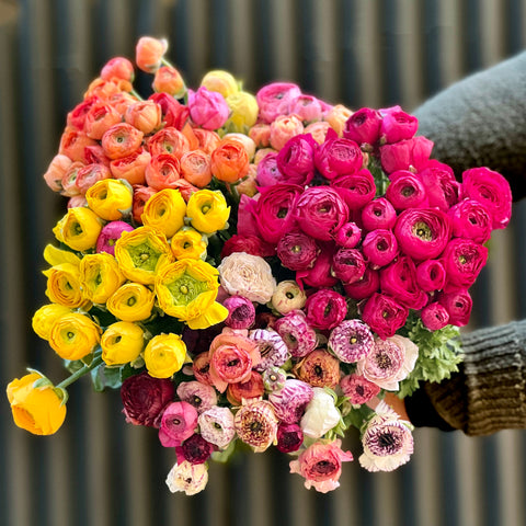 Ranunculus