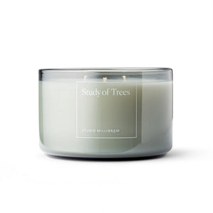 Ultra Violet Scented candle