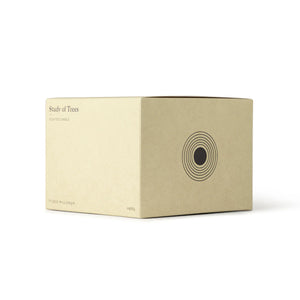 Ultra Violet Scented candle