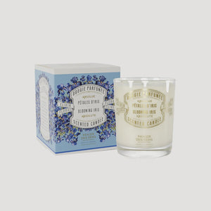 Blooming Iris scented candle