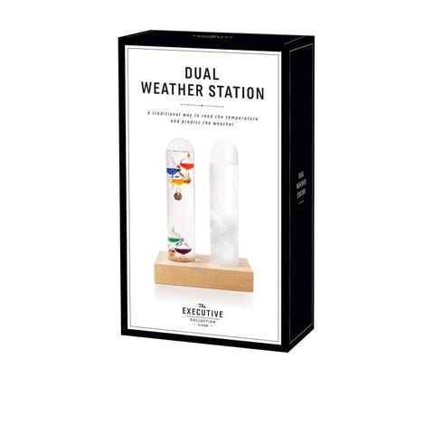 Dual Weather Station