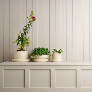 Cloud Planter