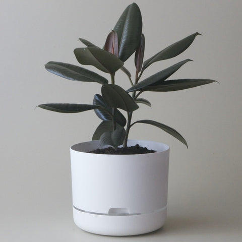 Springtime Plantpot Round 250mm