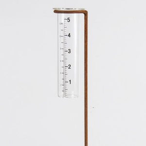 Rain Gauge